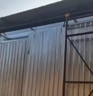 視頻欣賞